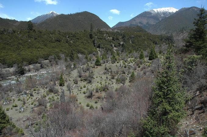 Confluence point located in the flat part of the valley about 80 meters away