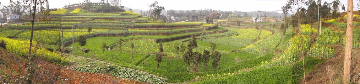 Panoramic view of terraced fields on the way to the confluence / 山川秀丽——梯田风光