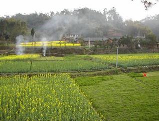 #1: X marks the spot of the confluence looking south as we saw it from the trail / 交汇点以南的光景