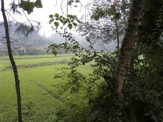 #1: Overview of the confluence (along path at center).