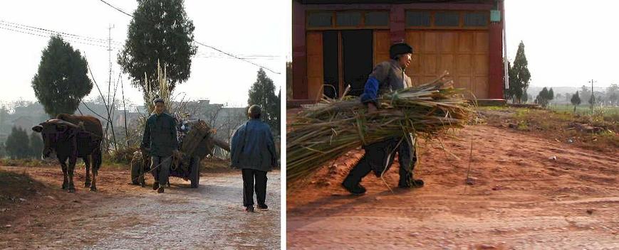The unsung heros and backbone of China, hard at work in the countryside