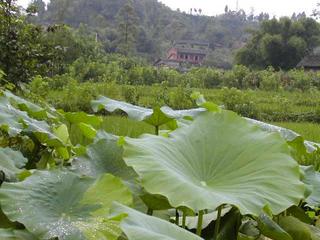 #1: View looking south - This is the Lotus Confluence