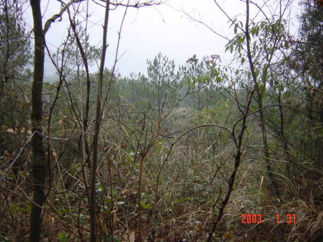 At the Confluence Point looking East