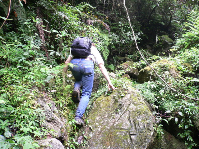 Targ climbing up the rocky stream bed.