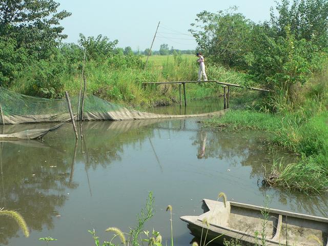 Ah Feng on bridge over second canal; confluence 760 metres NW.