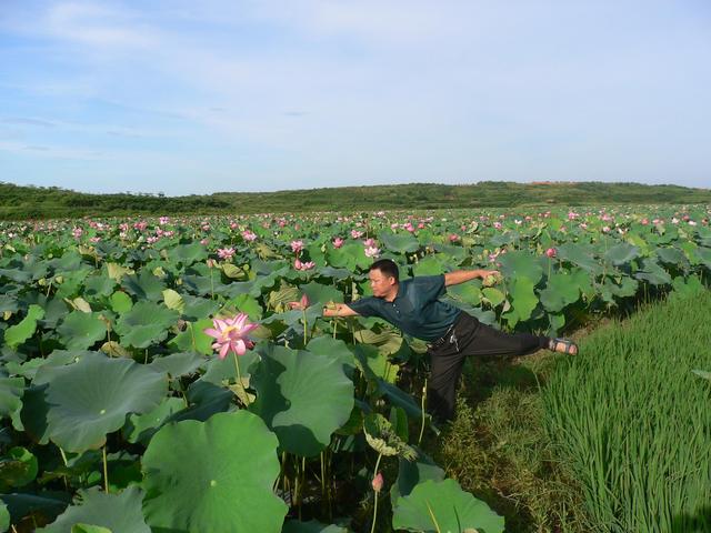 Our driver daringly reaches over to pick us some of the lotus fruit.