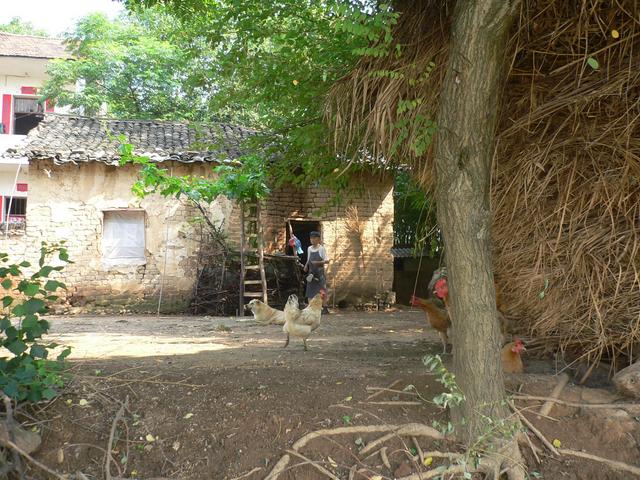 Village farmer.