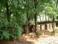 #9: Village lady tending bee hives.