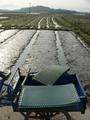 #3: Dimpled plastic sheets used in new rice planting technique