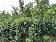 #3: View to South