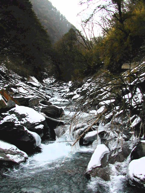 Looking up Silver Mine Valley toward the Confluence six kilometers away /在距离目的地六公里处遥望著银厂沟的远景。