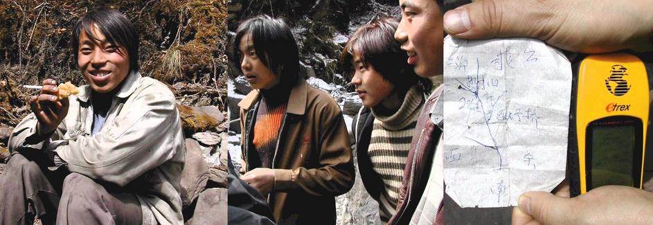 Tibetan cowboys on their way to tend their 300 yaks / 前往照顾他们三百头耗牛的藏族牛郎们。