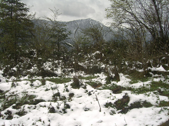 This snowy area was as close as we got to the confluence, about 8km away.  The horses were about a 15 minute hike down from here.