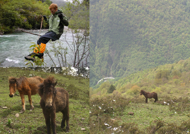 Here I am playing on a cable bridge; Horse pics were from the second day; we can see a curve in the road in the right picture - its a steep hike up from there