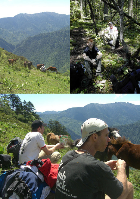 Simon with the horses; Chris and Simon through the forest trail; Peter and Simon taking a break in the sun.