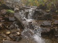 #5: A stream next to our tent.