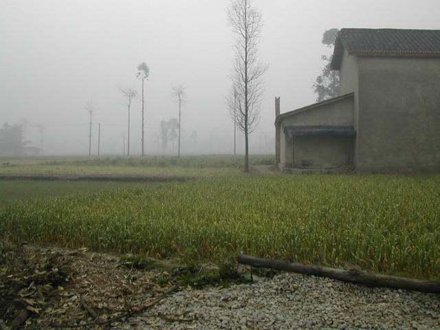 View to the south from the Confluence Point - Typical Chinese farm house building