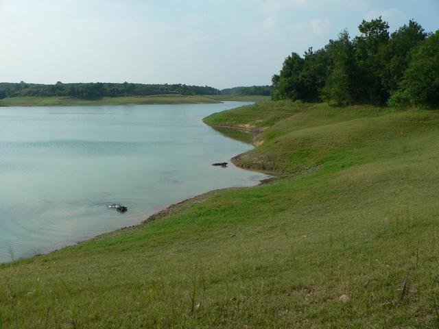 Confluence in forest at end of peninsular.