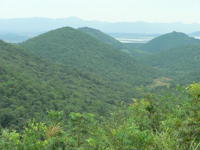 View NE towards confluence, 1.9 km away.