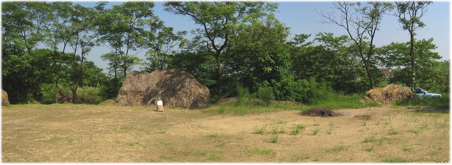 Rice threshing floor as confluence area, north view
