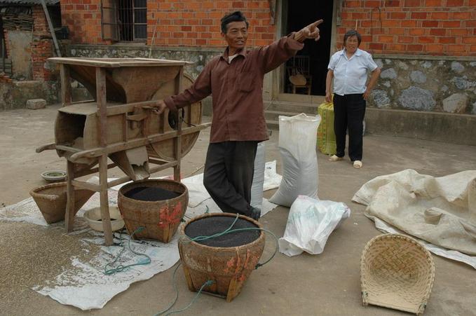 Farmer processing muster seed in nearby village