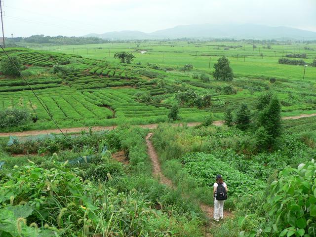 Ah Feng descends from Shenjiabian Village towards confluence, 450 metres WSW.