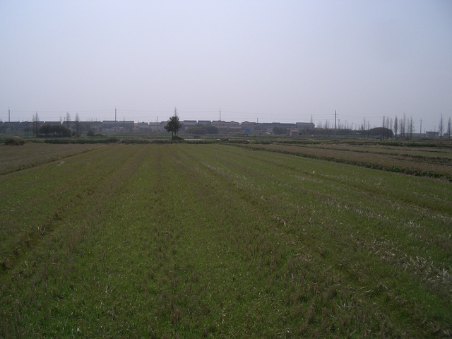 View to the South