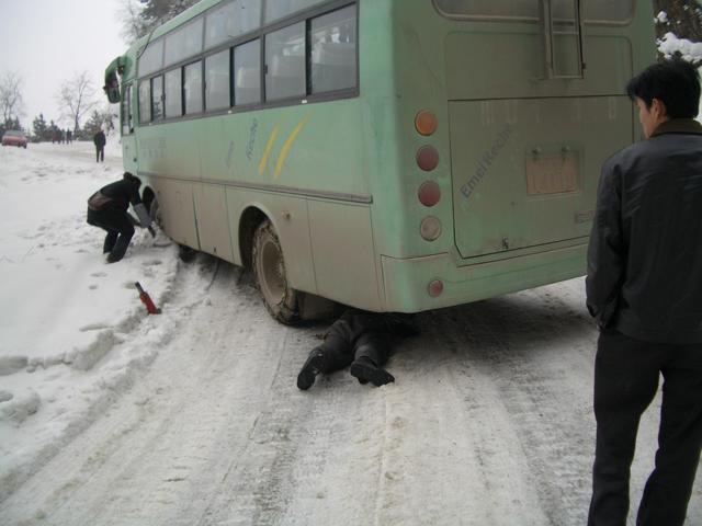 Yet another bus victim