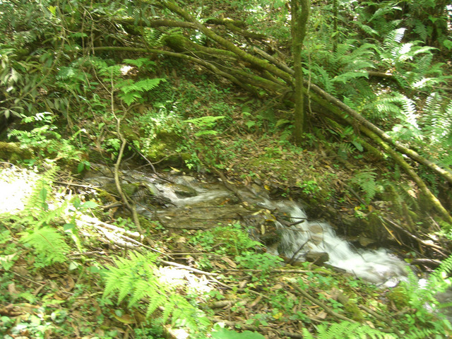 Taken standing at the confluence point, direction is due South.