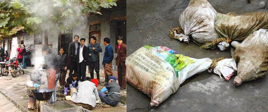 Chicken slaughtering and piglets in sacks