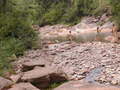 #7: Cooling off in the local watering hole