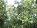 #2: View to the South