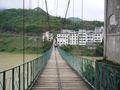 #5: Targ on pedestrian suspension bridge with Guandu behind.
