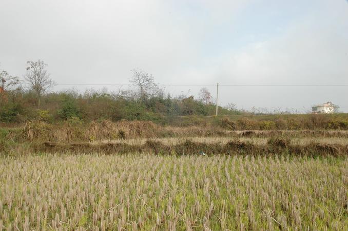 从交汇点向东看 / Looking east from the confluence