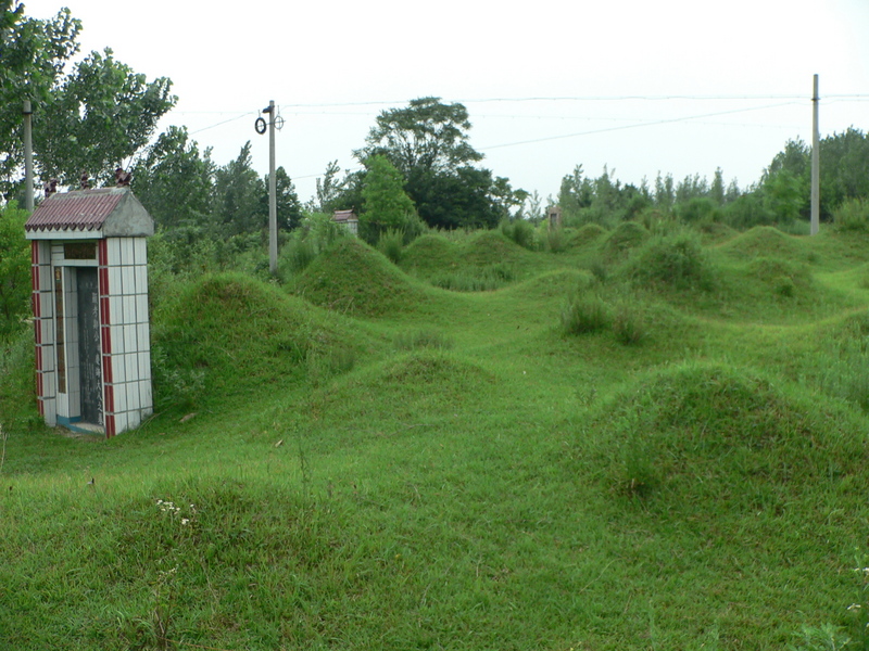 Cemetery near the confluence