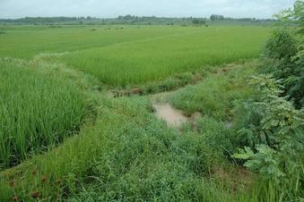 #1: General View - CP 50 meters away