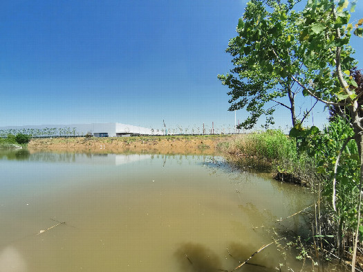 #1: View Northeast - Panoramic view of the confluence
