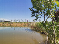 #2: View East