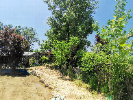 #4: View West