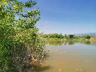 #5: View North