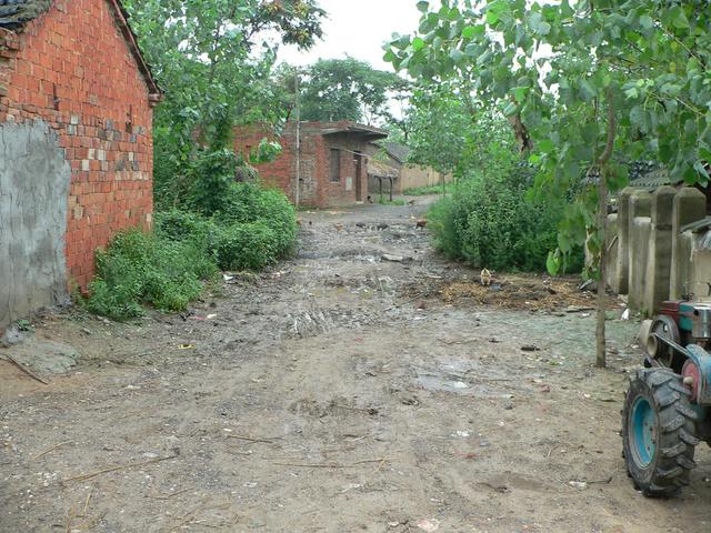 Muddy dirt road passing through village.