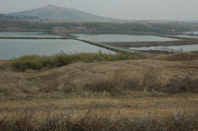 Confluence point 25 meters away on a small hill overlooking the fish ponds