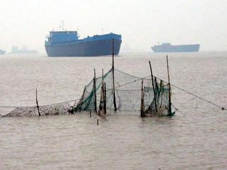 #1: Confluence point about 30 meters beyond the fixed net within the shipping channel of Yangtze River
