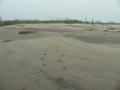 #9: Looking east