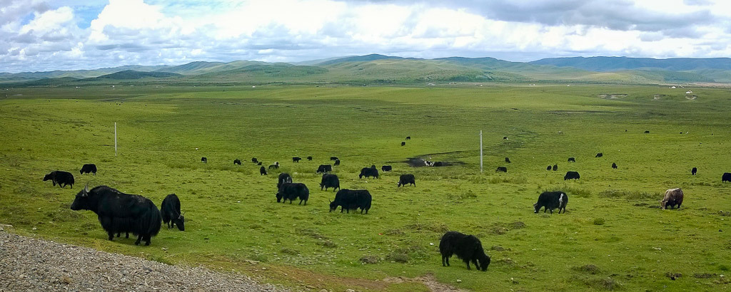 Overlooking the Confluence