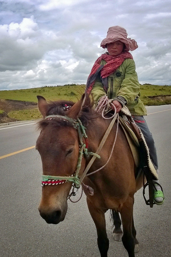 Tibetan Friends