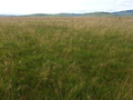 #2: Looking South