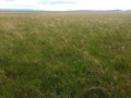 #3: Looking East