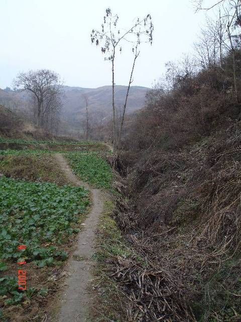 View behind, not facing the direction of the confluence