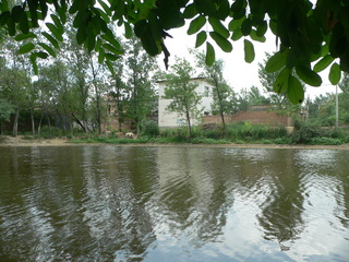 #1: Looking east, across the Zhèng Family Fish Pond